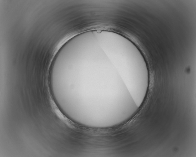 X0000116121042200912211650