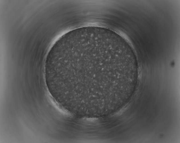 X0000116121043200912211650