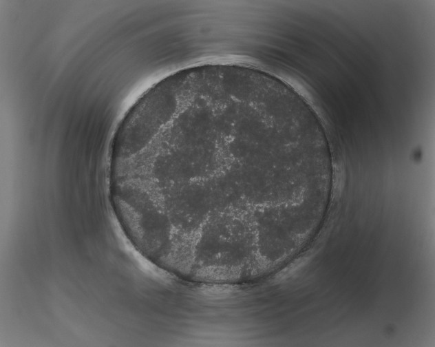 X0000116121046200912211650