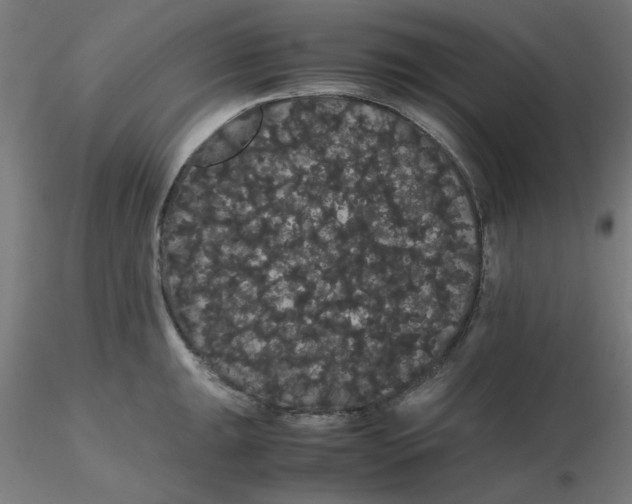X0000116121047200912211650