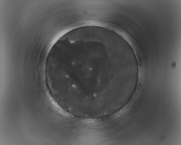 X0000116121048200912211650