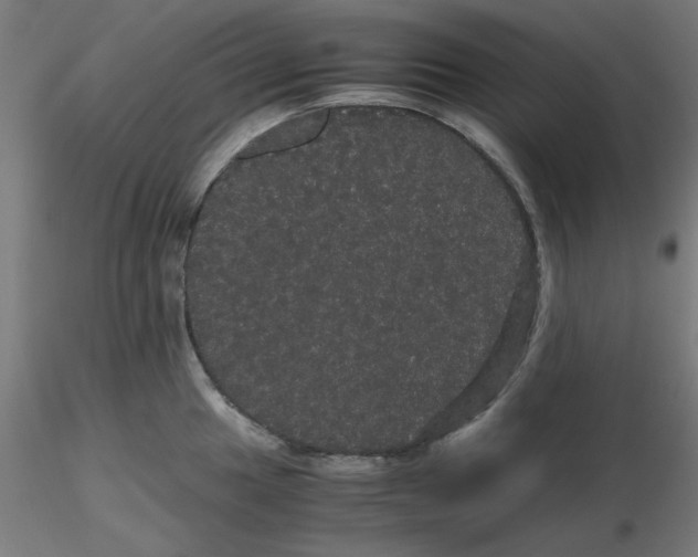 X0000116121049200912211650