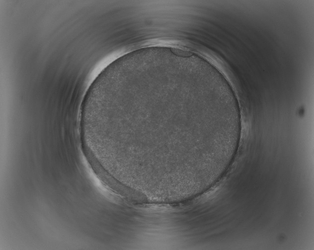 X0000116121050200912211650