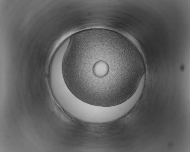 X0000116121051200912211650