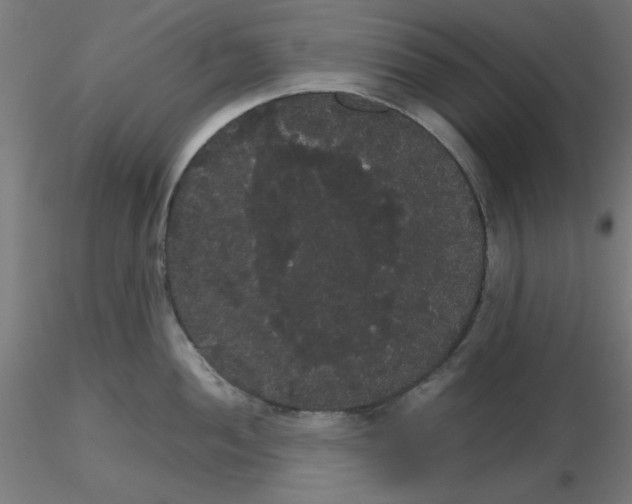 X0000116121052200912211650