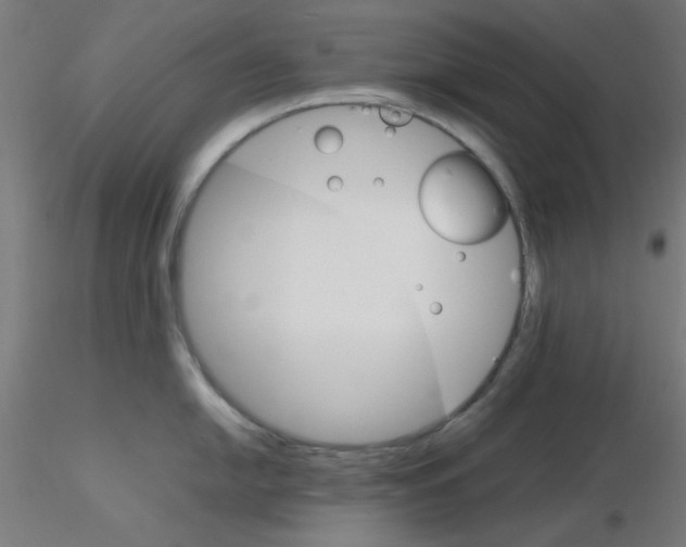 X0000116121054200912211650
