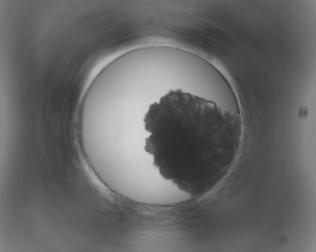 X0000116121056200912211650