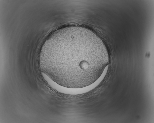 X0000116121057200912211649