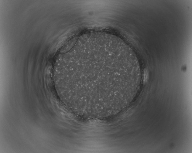 X0000116121059200912211649