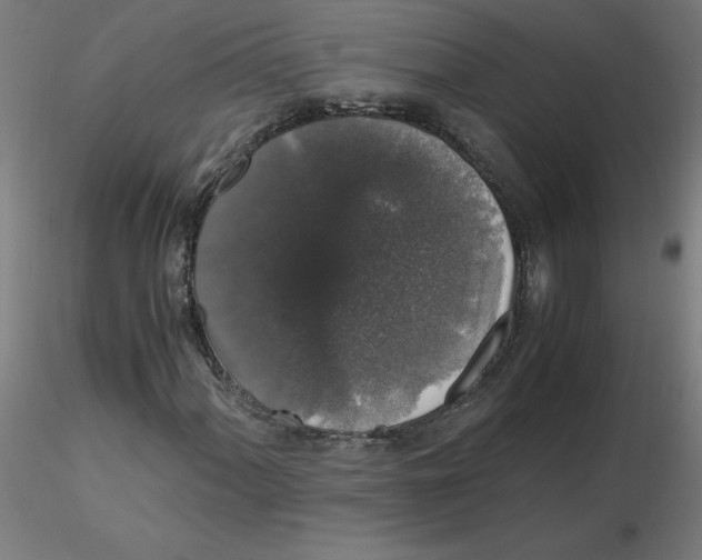 X0000116121060200912211649