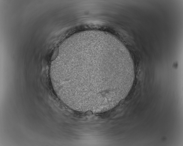 X0000116121061200912211649