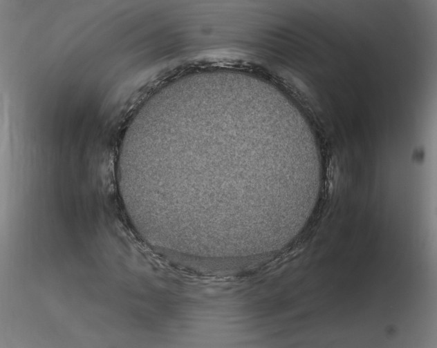 X0000116121062200912211649