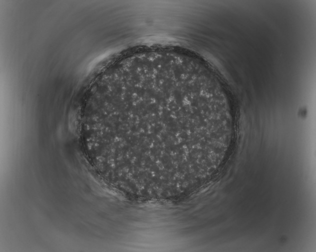 X0000116121063200912211649