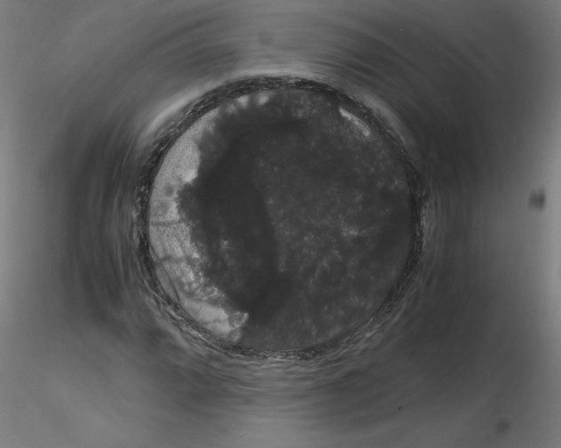 X0000116121064200912211649