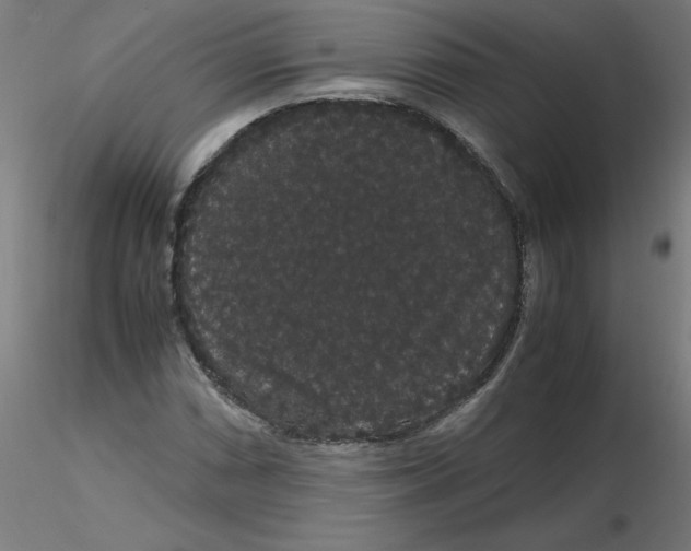 X0000116121066200912211649
