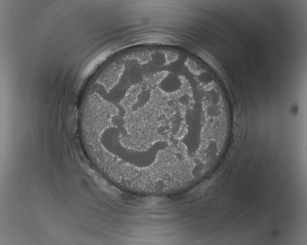 X0000116121067200912211649
