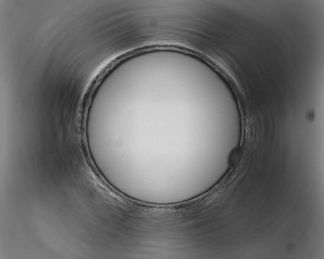 X0000116121068200912211649