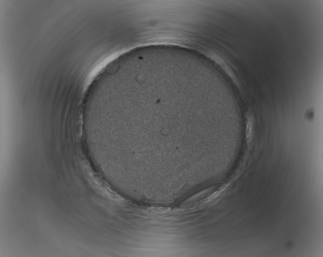 X0000116121069200912211649