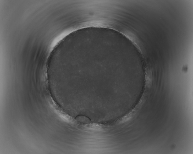 X0000116121070200912211649