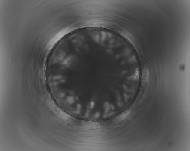 X0000116121071200912211649