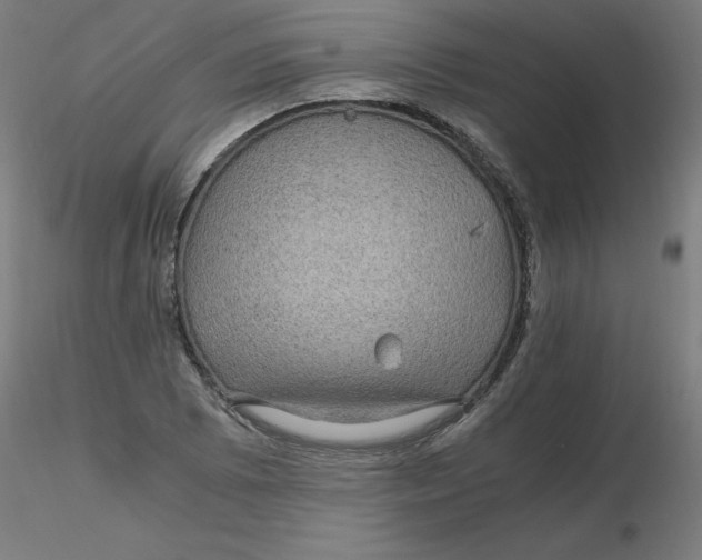 X0000116121073200912211649