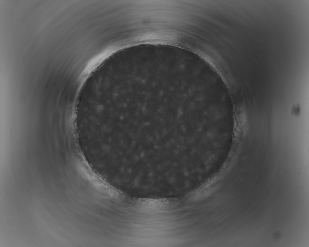 X0000116121074200912211649
