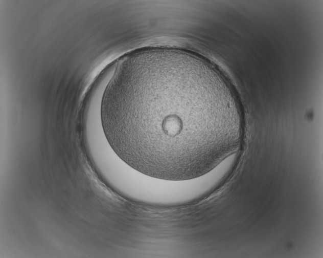 X0000116121075200912211649