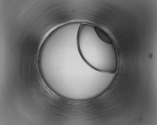X0000116121076200912211649