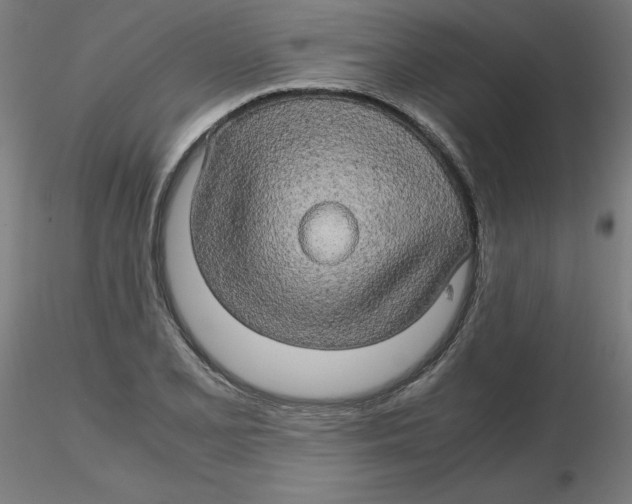 X0000116121077200912211649