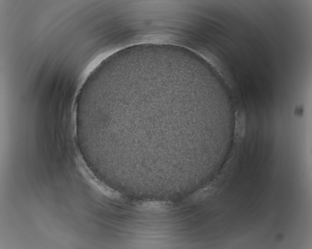 X0000116121078200912211649