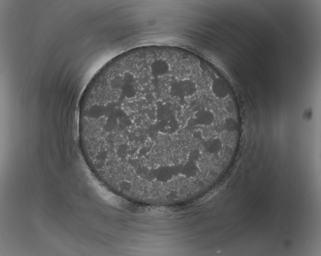 X0000116121079200912211649