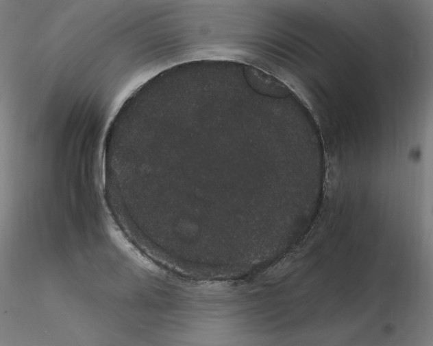 X0000116121080200912211649