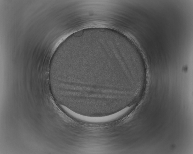 X0000116121081200912211649