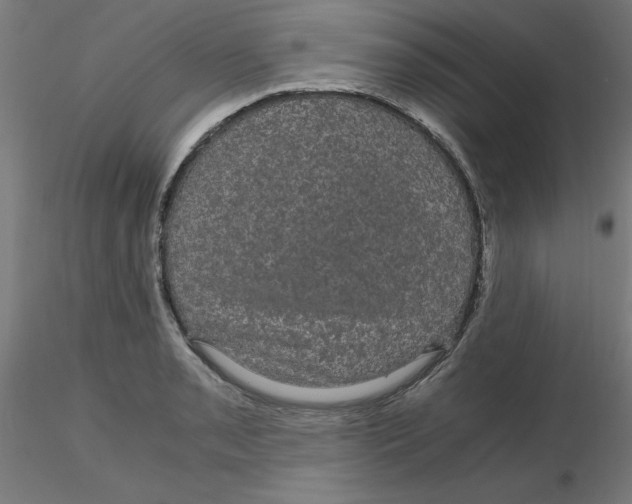 X0000116121085200912211649