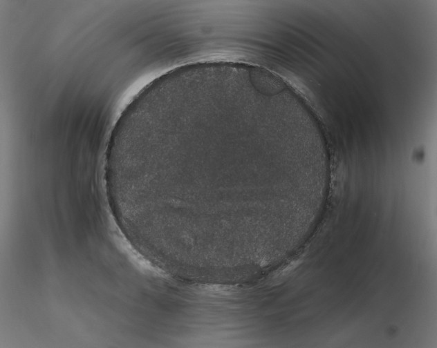 X0000116121086200912211649