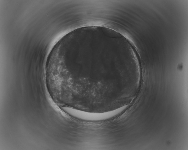 X0000116121088200912211649