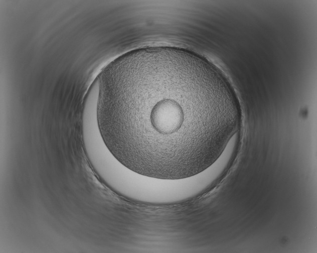 X0000116121089200912211649