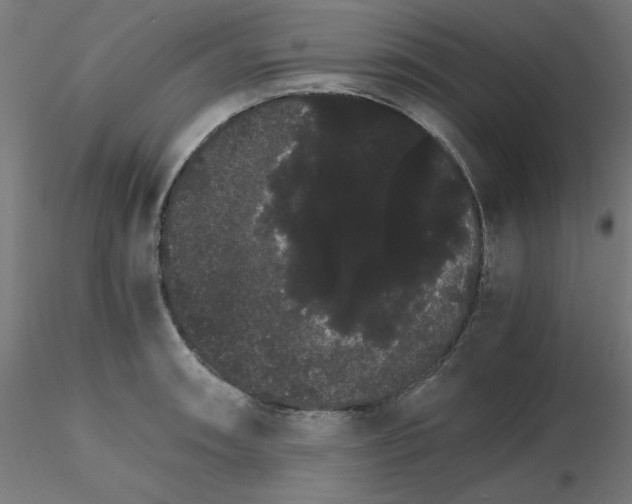 X0000116121090200912211649