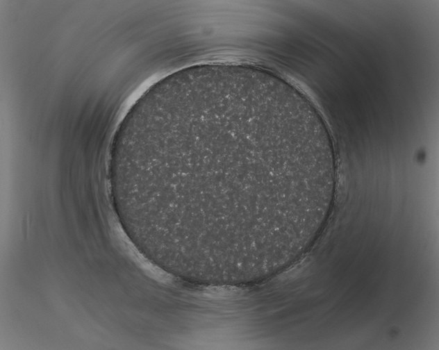 X0000116121091200912211649