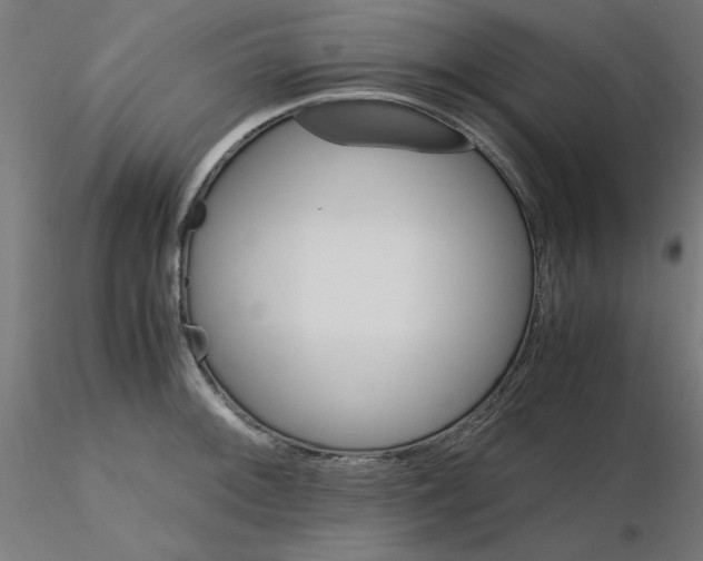 X0000116121092200912211649