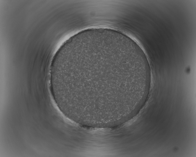 X0000116121093200912211649