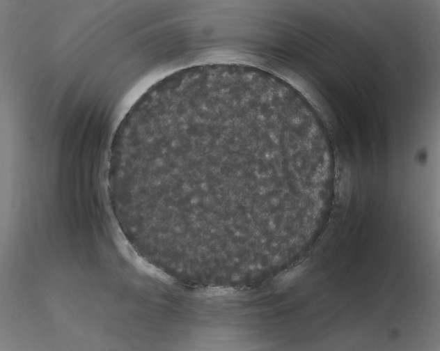 X0000116121094200912211649