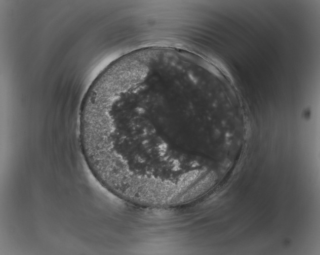 X0000116121095200912211649