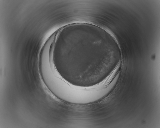 X0000116121096200912211649