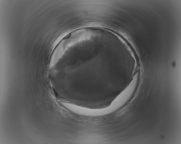 X0000116121097200912211649