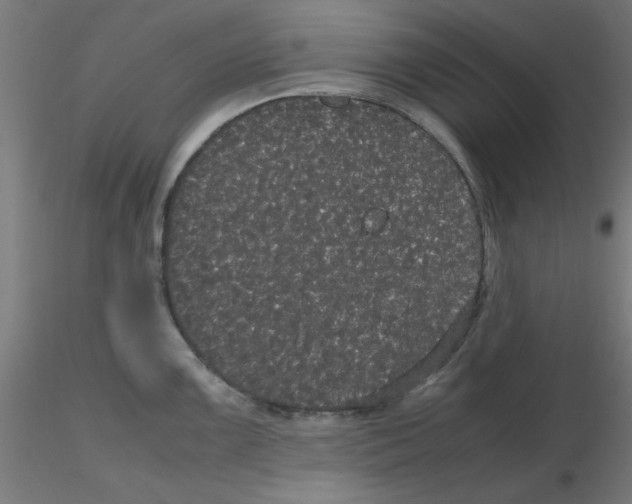 X0000116121099200912211649