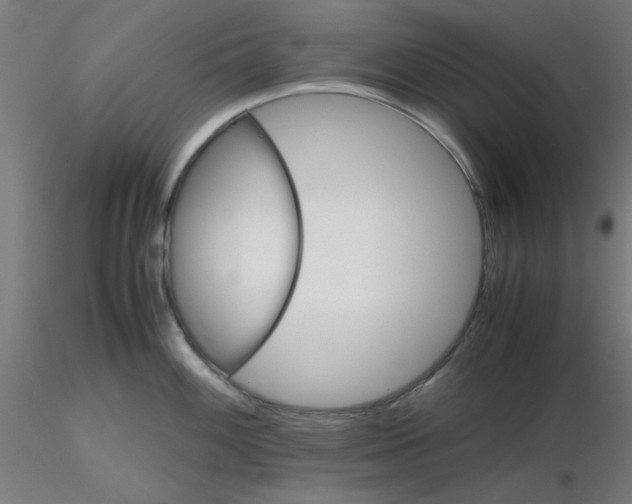 X0000116121100200912211649