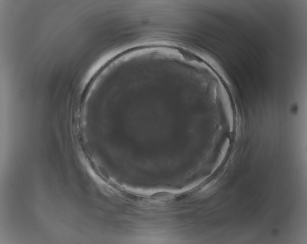 X0000116121101200912211649