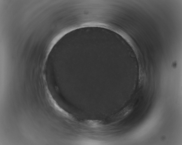 X0000116121102200912211649