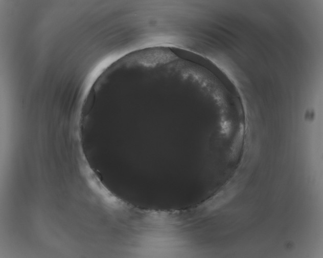 X0000116121104200912211648